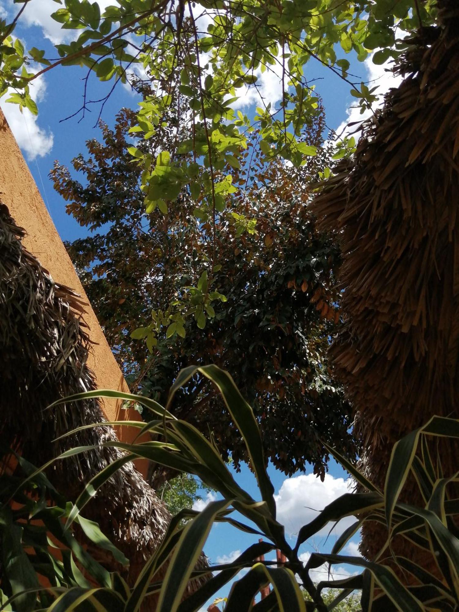 Suites De Piedra Y Colores En Chichen Itza ピステ エクステリア 写真