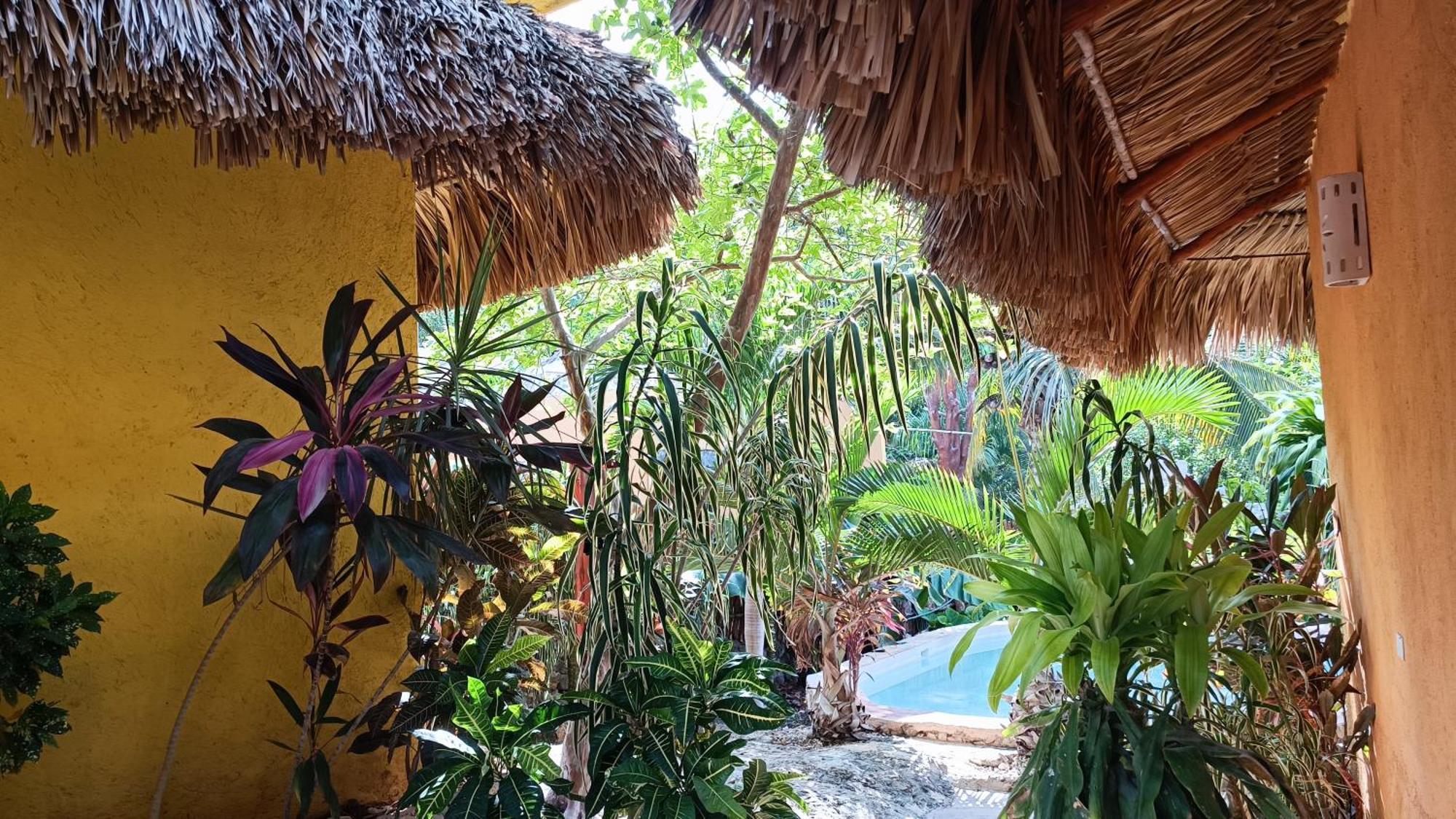 Suites De Piedra Y Colores En Chichen Itza ピステ エクステリア 写真